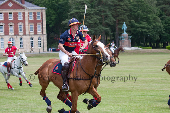 Heritage Open Day Polo 2010