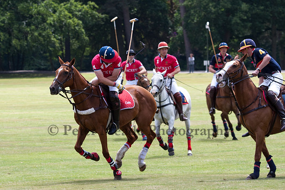 Heritage Open Day Polo 2010
