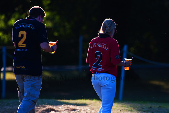 Summer Nights Polo