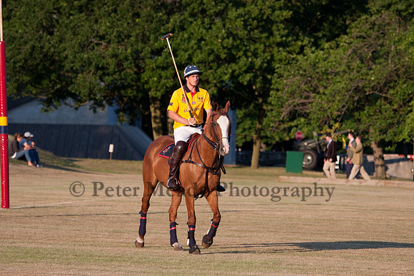 Summer Nights Polo