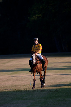 Summer Nights Polo