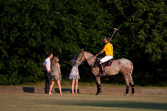 Summer Nights Polo
