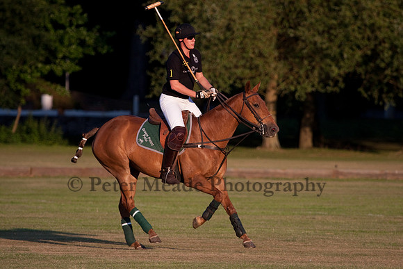 Summer Nights Polo
