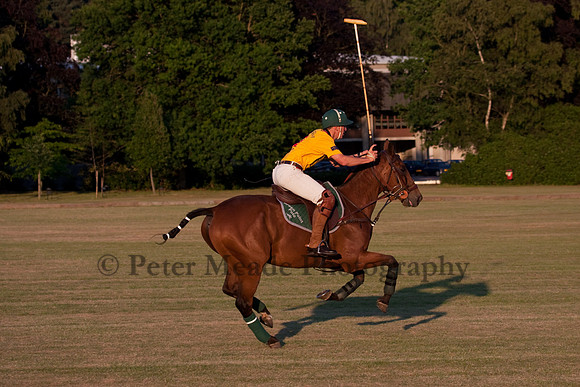 Summer Nights Polo