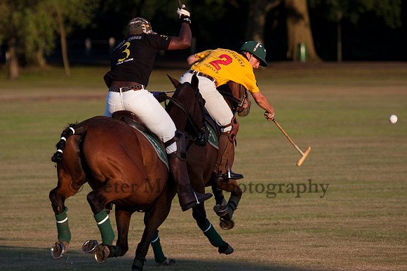 Summer Nights Polo
