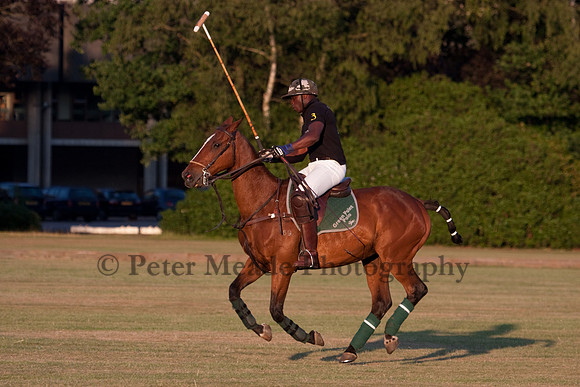 Summer Nights Polo