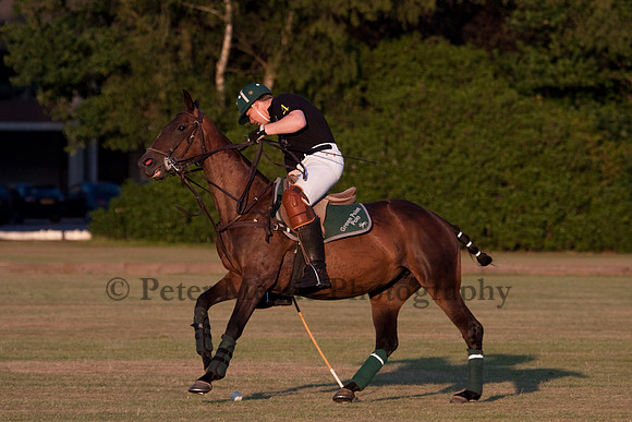 Summer Nights Polo