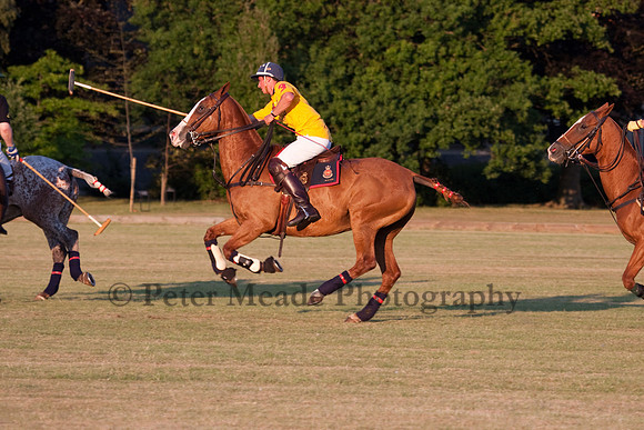 Summer Nights Polo