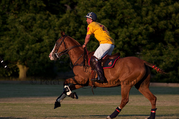 Summer Nights Polo