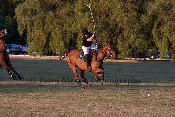 Summer Nights Polo