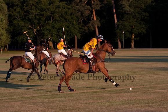 Summer Nights Polo
