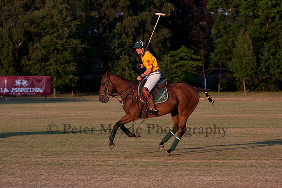 Summer Nights Polo