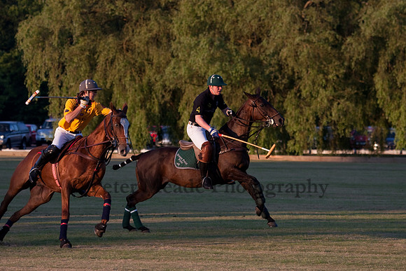 Summer Nights Polo