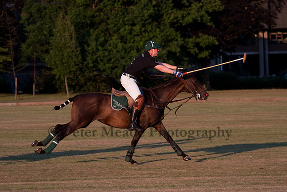 Summer Nights Polo