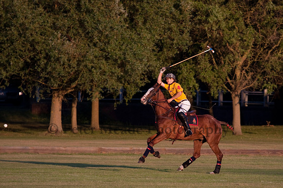 Summer Nights Polo