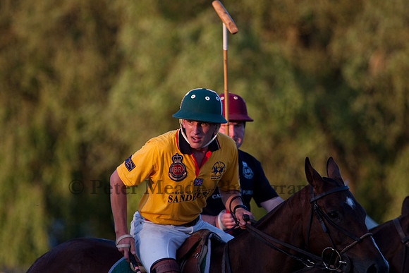 Summer Nights Polo