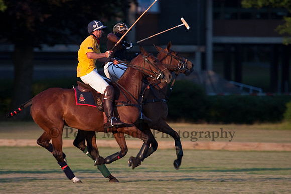 Summer Nights Polo