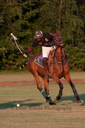 Summer Nights Polo