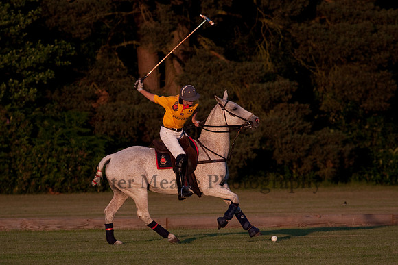 Summer Nights Polo