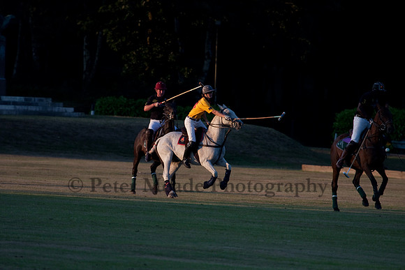 Summer Nights Polo