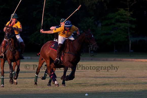 Summer Nights Polo
