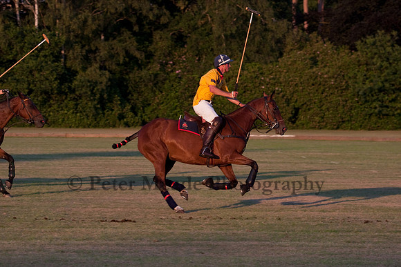 Summer Nights Polo