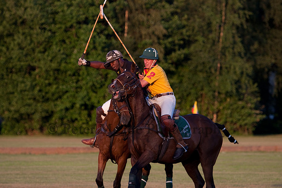 Summer Nights Polo