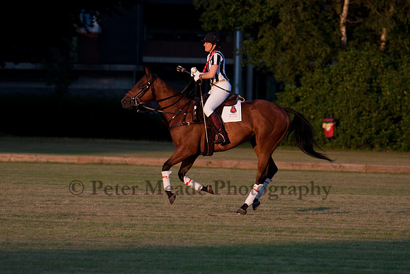 Summer Nights Polo