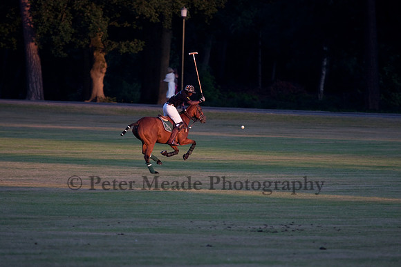 Summer Nights Polo