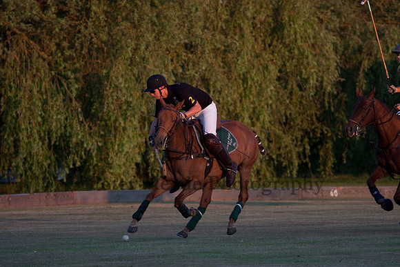 Summer Nights Polo