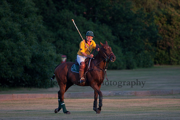 Summer Nights Polo