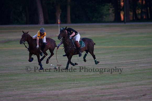 Summer Nights Polo