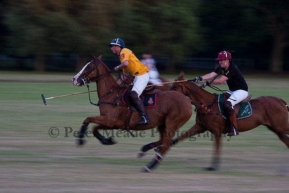 Summer Nights Polo