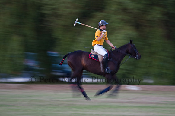 Summer Nights Polo