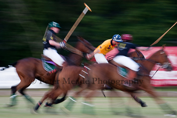 Summer Nights Polo