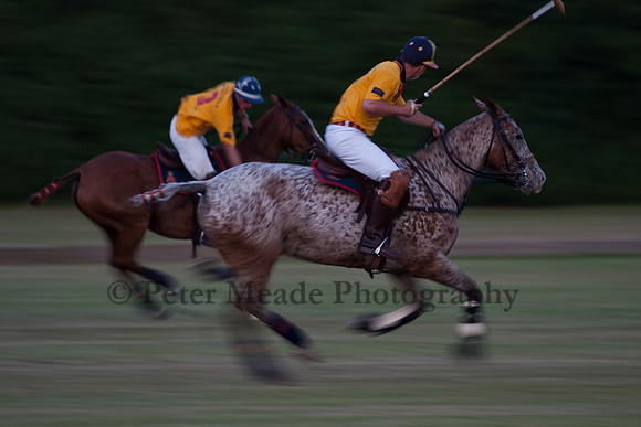 Summer Nights Polo