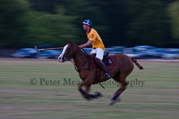 Summer Nights Polo