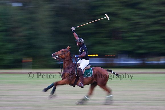 Summer Nights Polo