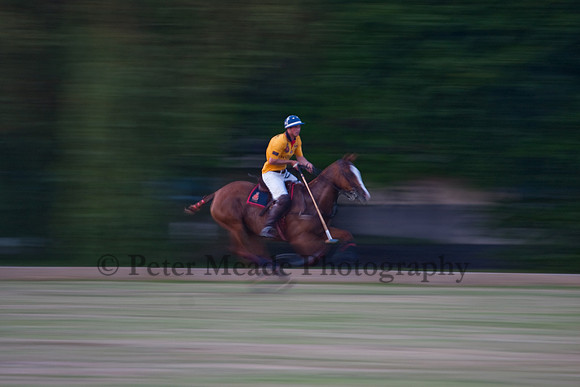 Summer Nights Polo