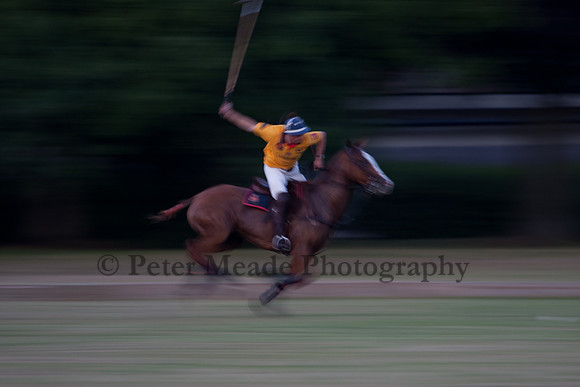 Summer Nights Polo