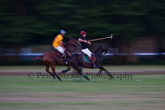 Summer Nights Polo