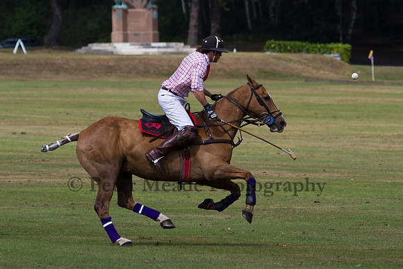 Heritage Polo Cup 2010 Day 2