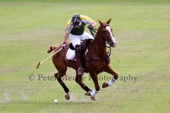 Ultimate Polo Tournament