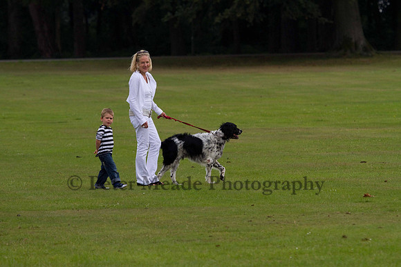 Ultimate Polo Tournament