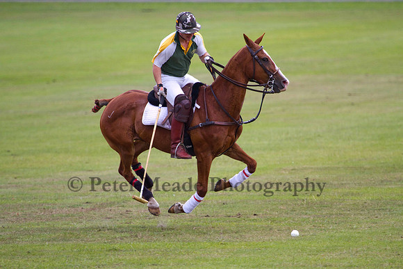 Ultimate Polo Tournament