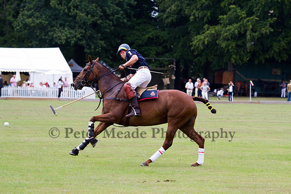 Ultimate Polo Tournament