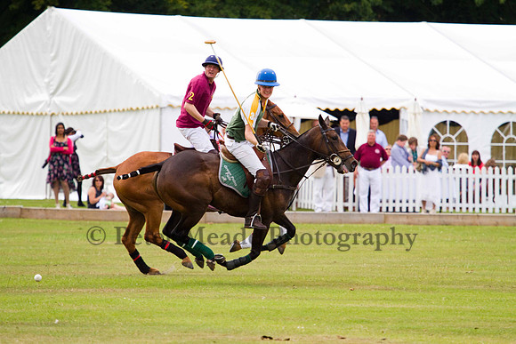 Ultimate Polo Tournament