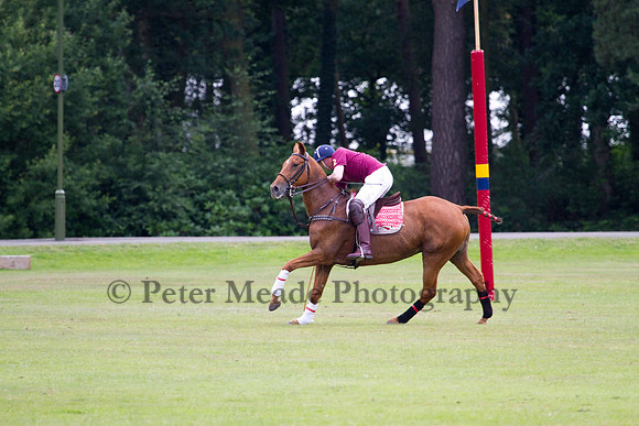 Ultimate Polo Tournament