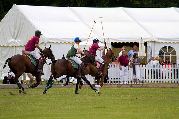 Ultimate Polo Tournament