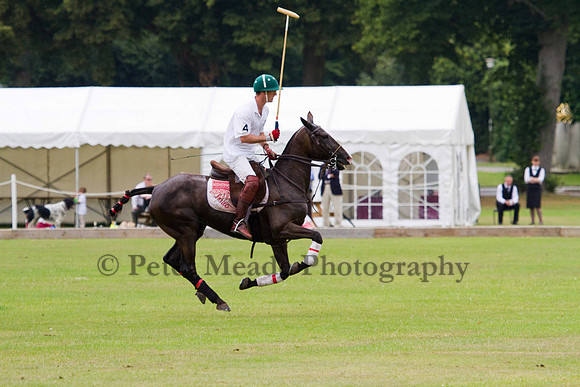 Ultimate Polo Tournament